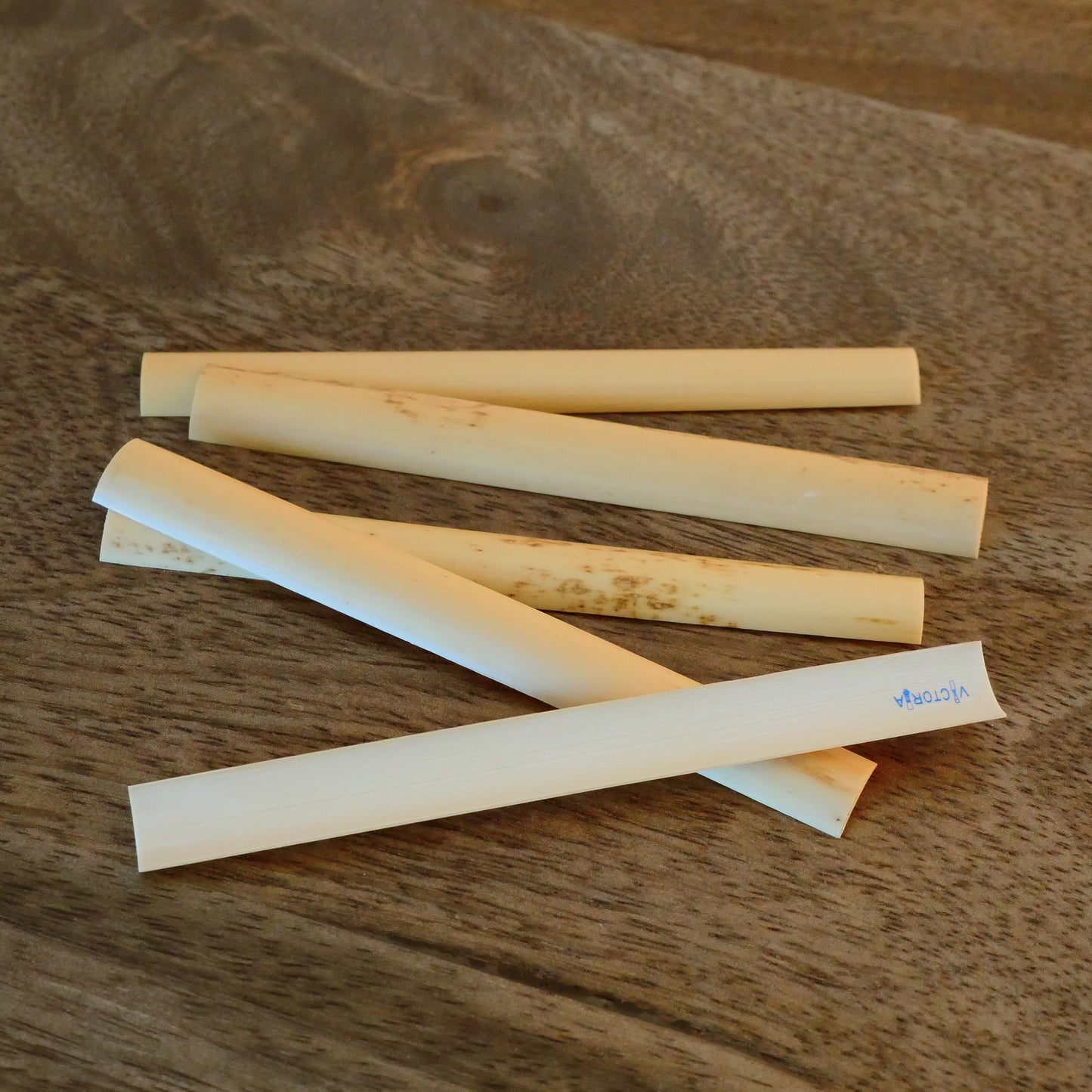 Gouged English Horn Cane