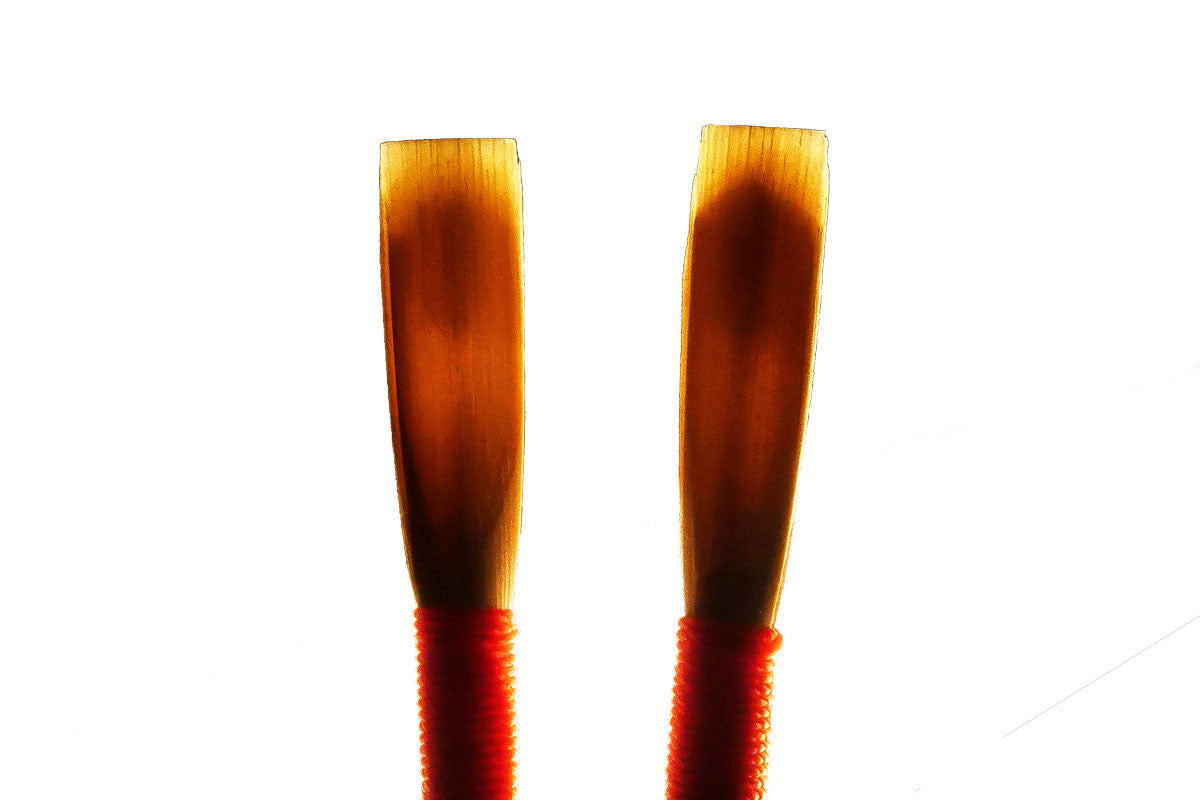 Beginner Oboe Reeds